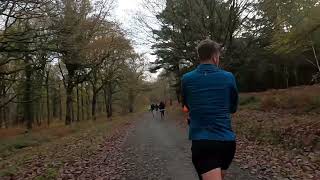 Brierley Forest Parkrun [upl. by Nochur]