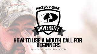 How to Use a Mouth Turkey Call for Beginners [upl. by Dosia]