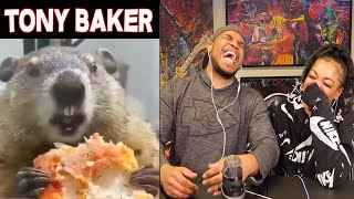 TONY BAKER ANIMAL VOICE OVERS ARE HILARIOUS [upl. by Yrek162]