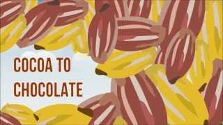 The Story of our Chocolate Journey [upl. by Ynattyrb]