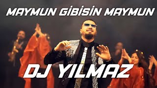 İzmir Gaydası  Dj Yılmaz  Maymun Gibisin Maymun \ Ağır Roman Havası 2020 [upl. by Adley6]