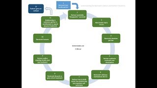 The Expanded Cycle of Narcissistic Abuse [upl. by Emerej450]