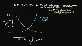 Pricing in a FreeMarket Economy [upl. by Ashlin]