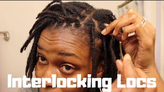 InterlockingLocs How I Interlock My Locs  Retightening Traditional Locs [upl. by Perkins350]