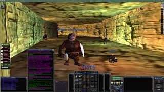 Everquest Project 1999  Project Shaman Guide [upl. by Dowlen]