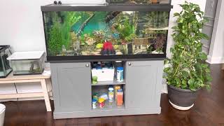 Marineland 75 Gallon Tank Review [upl. by Walford]