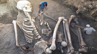 BIGGEST Real Life Skeletons Unearthed [upl. by Nivra]