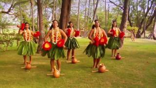 Beautiful Hula  Polynesian Dancers [upl. by Phox]