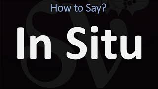 How to Pronounce In Situ CORRECTLY [upl. by Sollows]