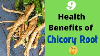 The 9 Health Benefits of Chicory Root 🌱 [upl. by Anoj]