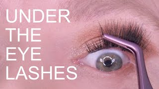 HOW TO APPLY UNDER EYE LASHES [upl. by Letitia]