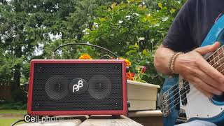 Phil Jones Bass Double Four unboxing and review [upl. by Wallach]