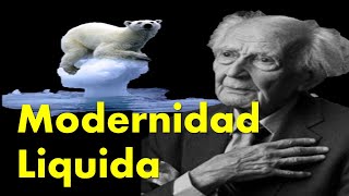 ¿Qué es la Modernidad Liquida [upl. by Erdnassac203]