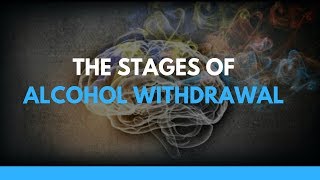 The Stages of Alcohol Withdrawal [upl. by Benilda]