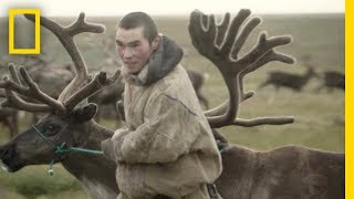 Reindeer Herders of the Russian Arctic  National Geographic [upl. by Maddox817]