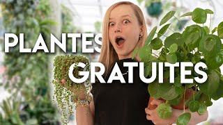 Comment avoir PLEIN de plantes GRATUITEMENT [upl. by Annua]