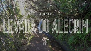 Madeira Portugal  4K Virtual Walk  Levada Do Alecrim Complete Walkthrough Hiking Madeira Island [upl. by Donoghue]