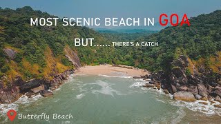 BUTTERFLY BEACH STILL A HIDDEN PARADISE How to Reach  Trek Guide Goa After Lockdown Aerial View [upl. by Annaeirb]