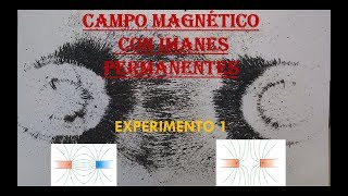 FÍSICA EXPERIMENTO 1 CAMPO MAGNÉTICO [upl. by Crowns]