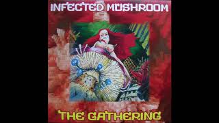 Infected Mushroom  The Gathering  Full Album [upl. by Zeugirdor122]