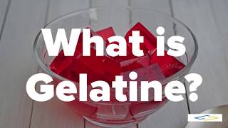 What is GelatineGelatin  Halal Gelatin [upl. by Latsirk]