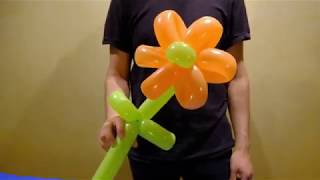 How to make a Balloon Flower  Balloon animal tutorial [upl. by Aiek979]