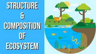 Structure amp Composition of Ecosystem  Environmental Science  EVS  Letstute [upl. by Kurzawa]