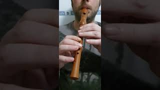 Hohner soprano recorder [upl. by Aivatnahs915]