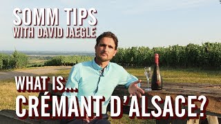 What is Crémant dAlsace  Somm Tips with David Jaegle [upl. by Alansen922]