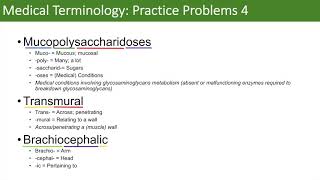 Medical Terminology  The Basics and Anatomy  Practice Problems Set 3 [upl. by Bevin2]