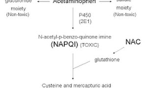 Acetaminophen Toxicity  Poisoning [upl. by Coffin]