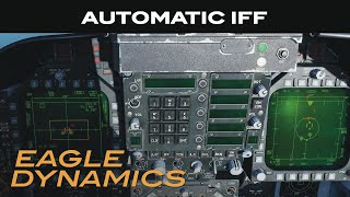 DCS FA18C Hornet  Automatic IFF [upl. by Fillender]