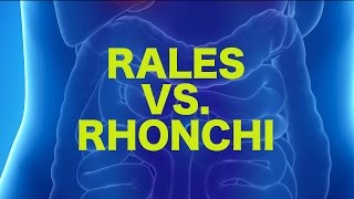 Rales vs Rhonchi  USMLE [upl. by Icat]