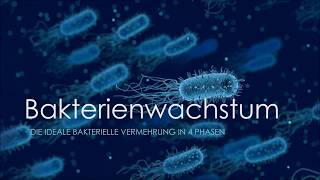 Bakterienwachstum  Die ideale bakterielle Vermehrung in 4 Phasen Biologie [upl. by Fritz]