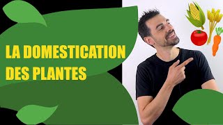 COURS DE TERMINALE SPÉCIALITÉ SVT CHAP11 LA DOMESTICATION DES PLANTES Bio Logique [upl. by Geddes]