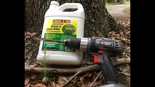 Tree DrillKill 1oz Undiluted Glyphosate [upl. by Akeret]