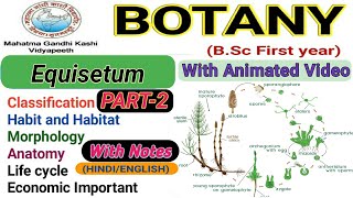 Equisetum life cycleReproductionEconomic Importance of EquisetumPart2 [upl. by Macey]