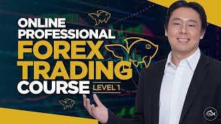 Introducing the Online Professional Forex Trading Course by Adam Khoo [upl. by Chastity]