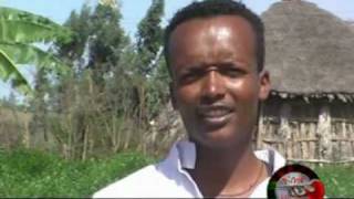 Gurage Ethiopian Traditional Music [upl. by Noonan]