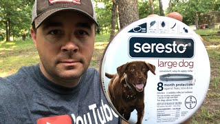 The Best Flea and Tick Control Seresto Collars [upl. by Yssim]