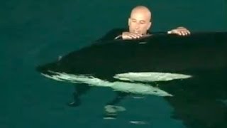 Caught on tape Whale nearly drowns SeaWorld trainer [upl. by Nuy]