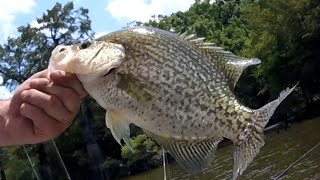 Planer Board Crappie fishing Tips amp Tactics [upl. by Anivlem]