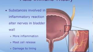 Understanding Interstitial Cystitis IC [upl. by Anton]