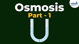 What is Osmosis  Part 1  Cell  Infinity Learn [upl. by Eirroc]