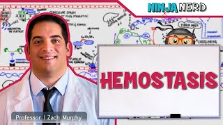 Hematology  Hemostasis Coagulation Cascade [upl. by Bhayani183]