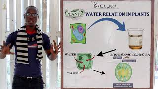 8 Osmosis Biology Form 1 [upl. by Debbie]