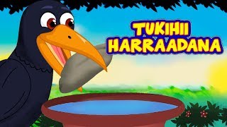 Tukihii Harraadana  SHEEKO CARUUREED  Somali Moral Story  Thirsty Crow Story af Somali [upl. by Eelanna437]