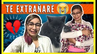 😿 MURIÓ MI GATITO  LE DOY SU ÚLTIMO ADIÓS 💔 Vlog TRISTE [upl. by Presley]