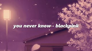 blackpink  you never know eng lyrics [upl. by Porett]