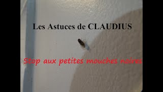 Petites mouches noires  LES ASTUCES DE CLAUDIUSN°1 [upl. by Nadirehs]